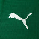 Camisa Puma Palmeiras 2026/27 I Torcedor